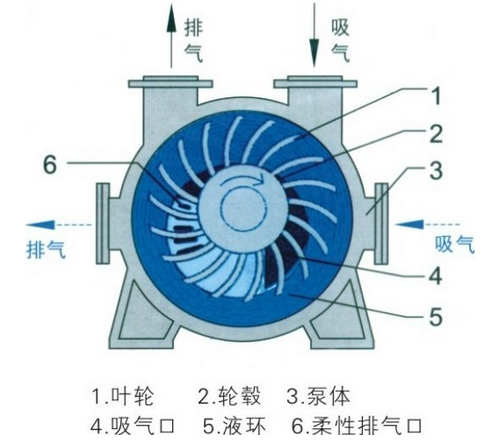 水環(huán)式真空泵